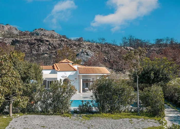 Lazarus Glistra * Kiotari